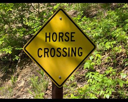 horse crossing sign photo.jpeg